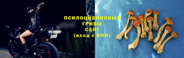 гидра Арсеньев