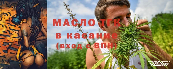 гидра Арсеньев