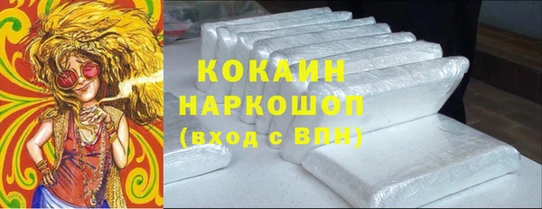 гидра Арсеньев
